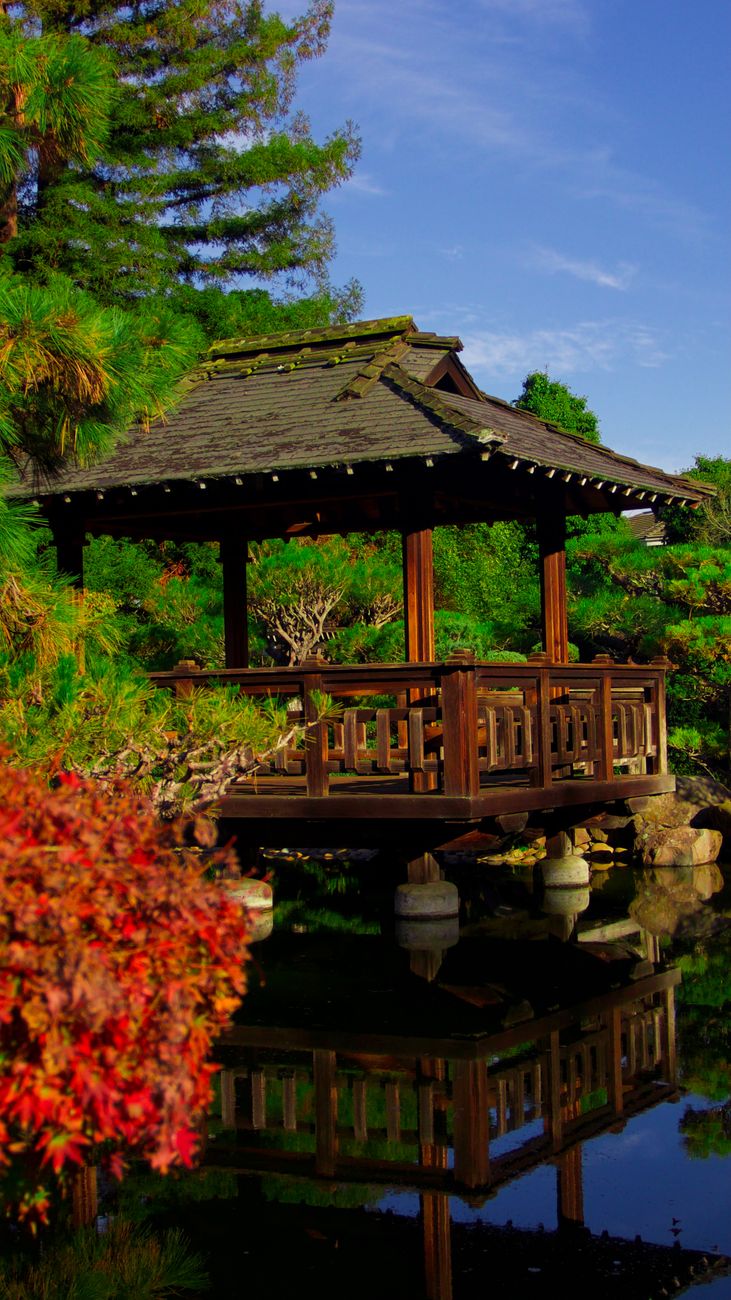 Wooden temple architecture overlooking foggy forest